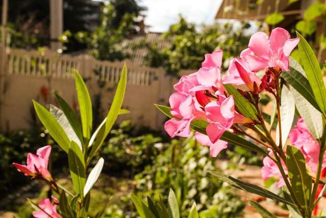 Гостиница Вояж Алушта-63