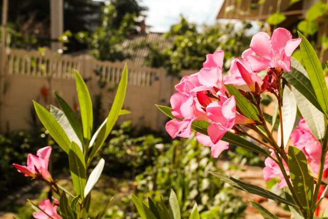 Гостиница Вояж Алушта-167